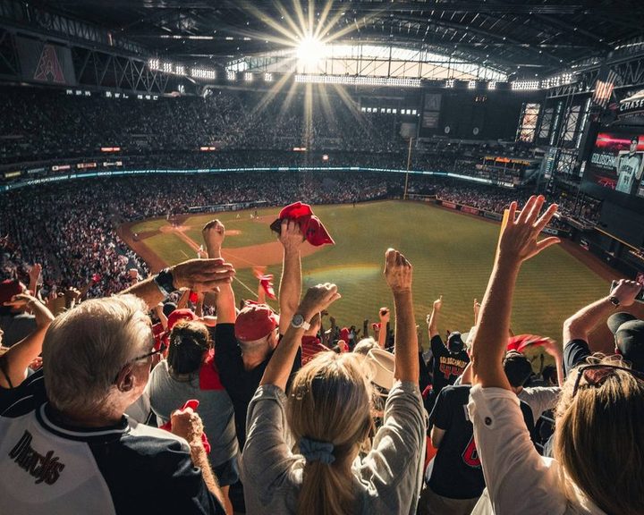 天津彩票 · 团队